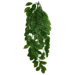 Komodo Green Leaf Hanging Plant 1ea/LG, 26 in